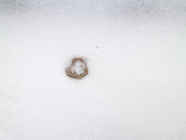 istock frozen stone in the snow 908031860