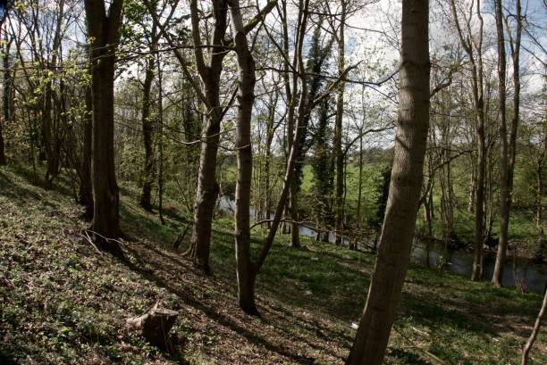 istock Homersfield Norfolk, Flixton Suffolk, Earsham Suffolk 908032510