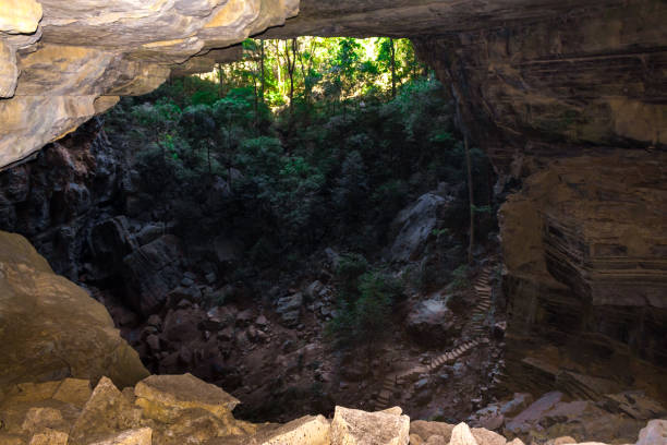 istock View from bat cave looking into Ankarana Special Reserve ,  Ankarana, Madagascar 908033206