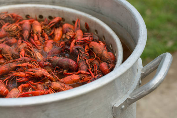 istock Louisiana Crawfish Boil 908033284