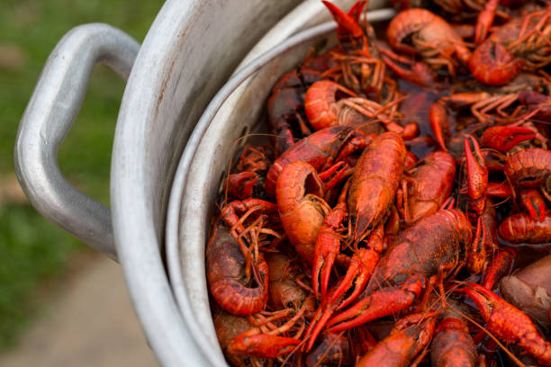 Louisiana Crawfish Boil Spicy Crawfish Boiling in a Stock Pot in Louisiana crawfish stock pictures, royalty-free photos & images