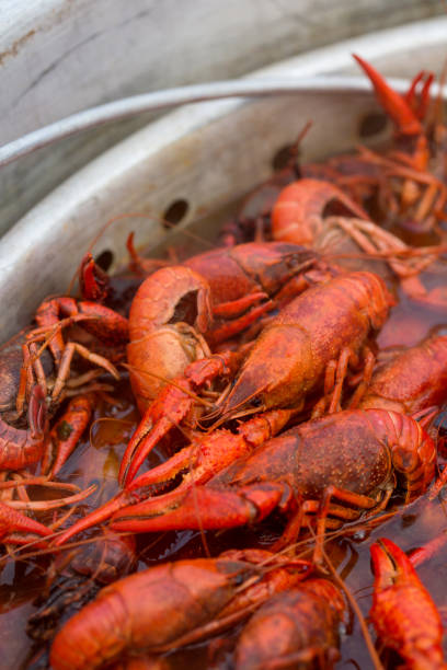 istock Louisiana Crawfish Boil 908033410