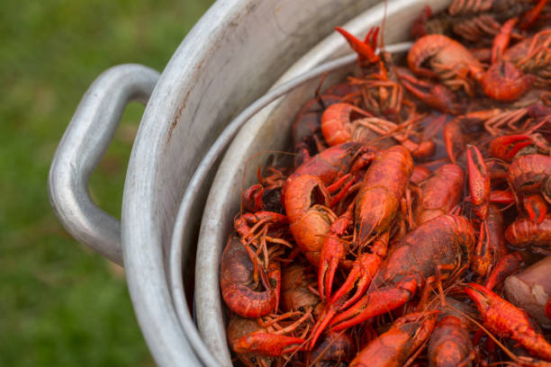 istock Louisiana Crawfish Boil 908033462