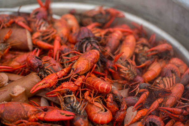 istock Louisiana Crawfish Boil 908033520