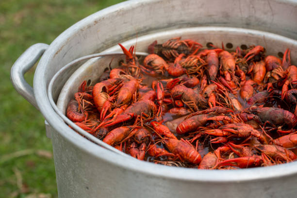 Spicy Crawfish Boiling in a Stock Pot in Louisiana