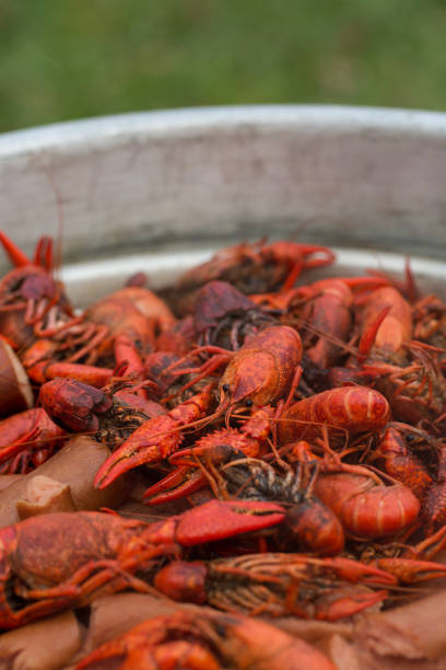 istock Louisiana Crawfish Boil 908033622