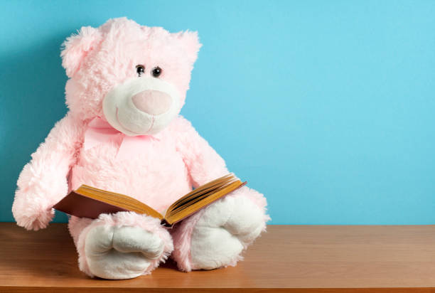 Pink teddy bear read book on blue background. Education or playing concept.