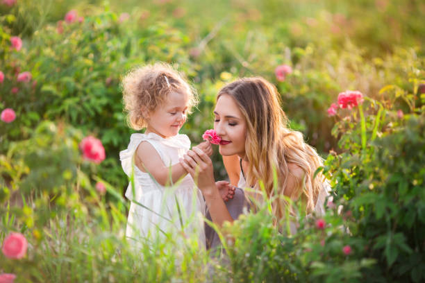 Beautiful child girl with pretty young mother are walking in spring garden with pink blossom roses flowers stock photo