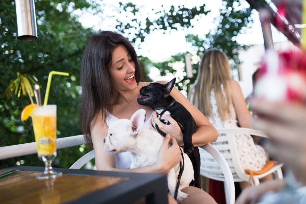 istock Woman with dog in cafe 908036868