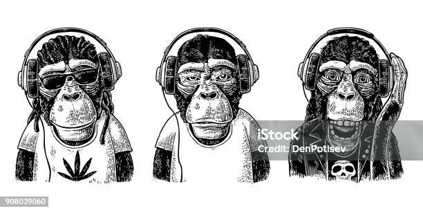Monkeys In Headphones Hipster With Dreadlocks Rocker Rastaman Vintage Engraving Stock Illustration - Download Image Now