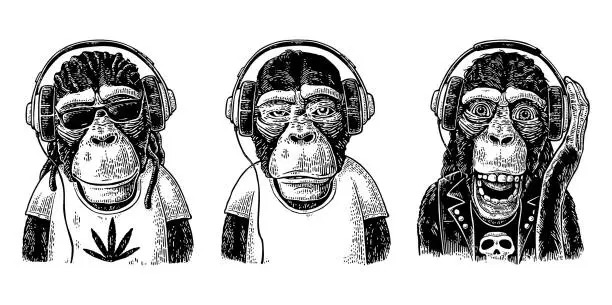 Vector illustration of Monkeys in headphones. Hipster with dreadlocks, rocker, rastaman. Vintage engraving