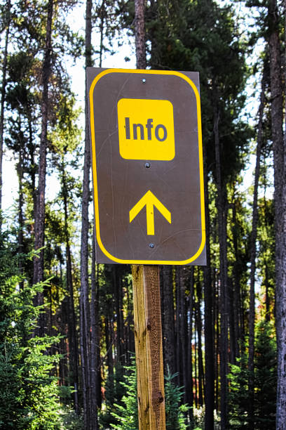istock An Information Ahead sign at a park 908042286