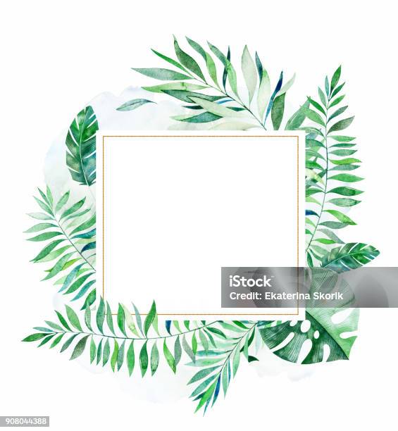 Tropical Green Floral Frame With Colorful Tropical Leaves Stock Illustration - Download Image Now