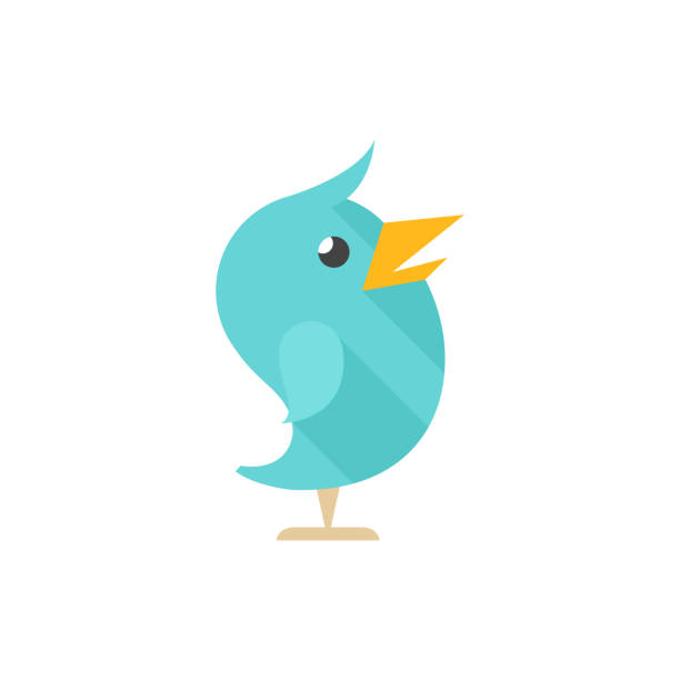 Flat icon - Bird Bird icon in flat color style. Tweet social media networking promotion chirps clip art of twitter bird stock illustrations