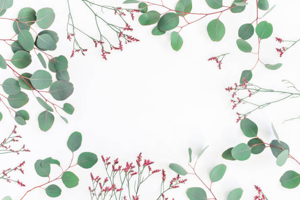 istock Eucalyptus branches and pink flowers. Flat lay, top view 908048290