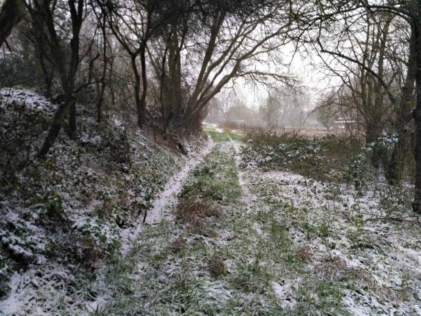 istock Pathway leading to a field in the snow 908052428