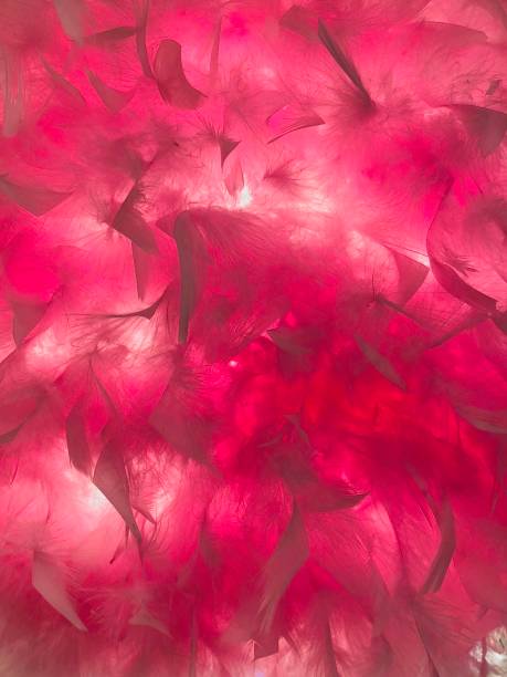 abstrakt gefiederten roten hintergrund - feather boa feather isolated red stock-fotos und bilder