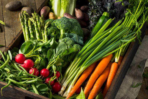 surowe ekologiczne wiosna rolników market box - radish vegetable farmers market gardening zdjęcia i obrazy z banku zdjęć