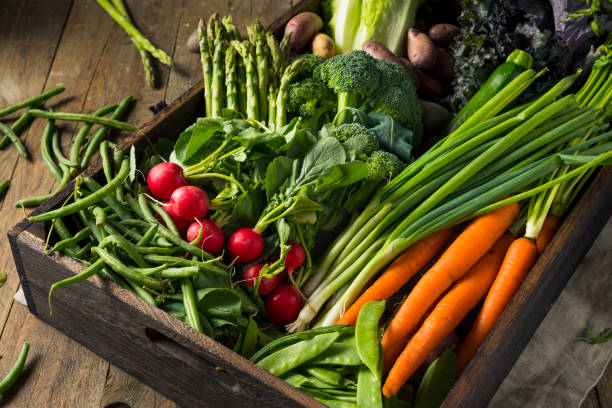 mercado de agricultores de primavera orgánica cruda caja - radish vegetable farmers market gardening fotografías e imágenes de stock