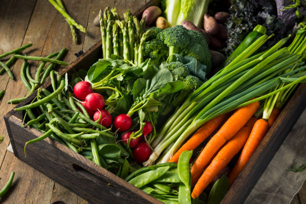 surowe ekologiczne wiosna rolników market box - radish vegetable farmers market gardening zdjęcia i obrazy z banku zdjęć