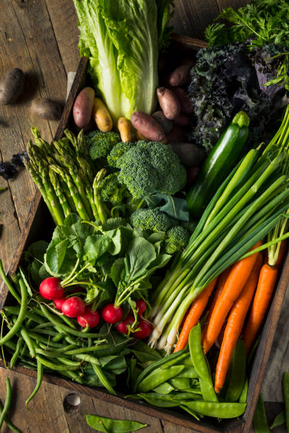 surowe ekologiczne wiosna rolników market box - radish vegetable farmers market gardening zdjęcia i obrazy z banku zdjęć
