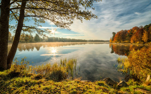 istock Lake in autumn scenery 908081020