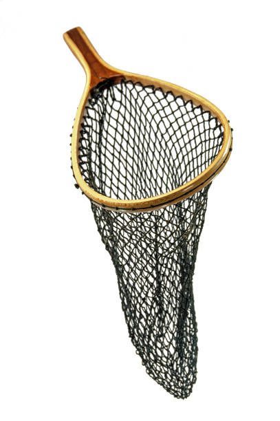istock Trout fishing net on white background 908088998