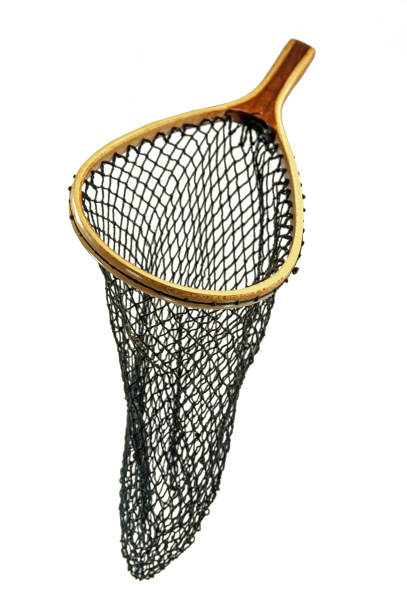 istock Trout fishing net with clipping path 908089014