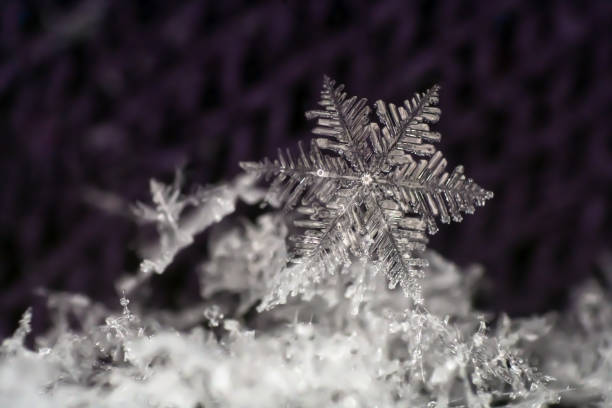 istock Natural snowflake close-up. Winter, cold. 908103512