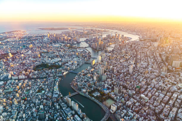 widok z lotu ptaka na tokio japonii - tokyo prefecture building exterior high angle view tokyo tower zdjęcia i obrazy z banku zdjęć