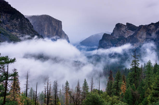 yosemite na manhã nevoenta - mist mountain range californian sierra nevada cliff - fotografias e filmes do acervo