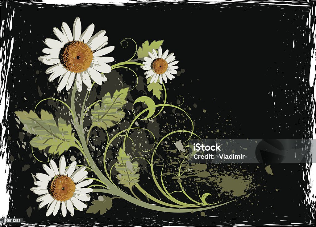 camomiles branco sobre um fundo preto grunge emblema de floral (vector - Royalty-free Antigo arte vetorial