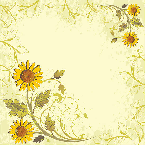 kwiaty ozdoba na żółtym tle grunge (camomiles - scroll shape flower floral pattern grunge stock illustrations