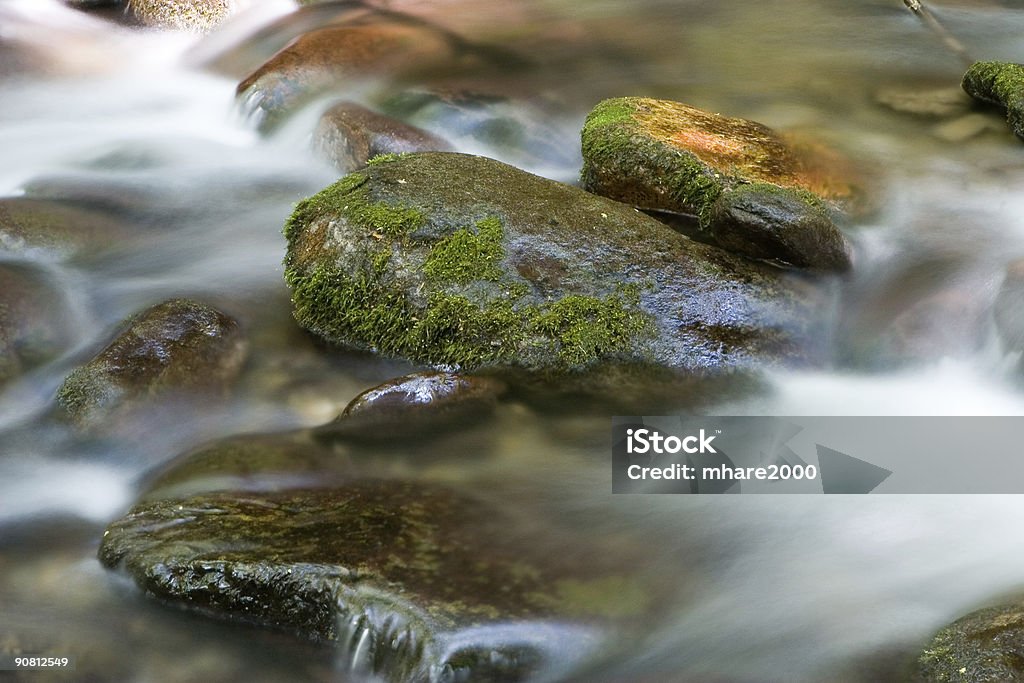 A Great Smoky Mountains roaring fork motor trail - Foto de stock de Cascata royalty-free