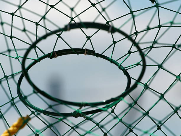 istock Lobster Trap Entrance Close Up 90813008