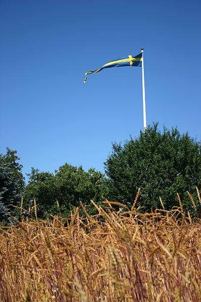Swedish flag stock photo