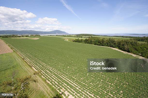 Foto de Île Dorleans Quebec Canadá e mais fotos de stock de Agricultura - Agricultura, Campo, Canadá