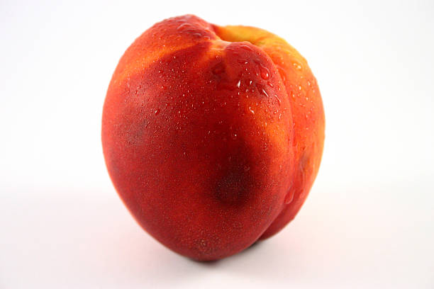 nectarine