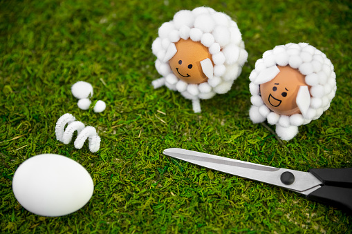 Easter handicraft ideas with eggs and cotton balls, diy and selfmade for the spring season