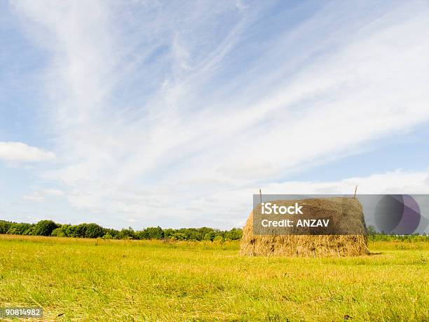 Foto de Paisagem e mais fotos de stock de Agricultura - Agricultura, Amarelo, Amontoamento