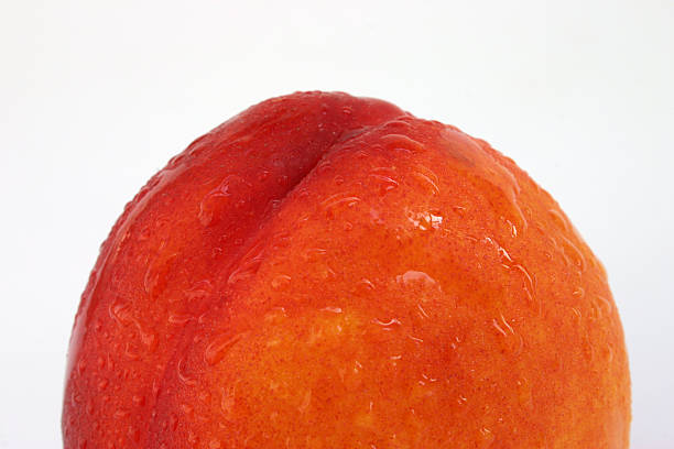 nectarine