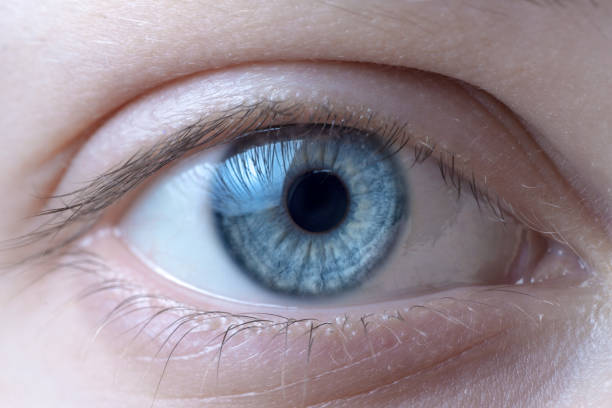 istock Macro image of blue human eye 908154740