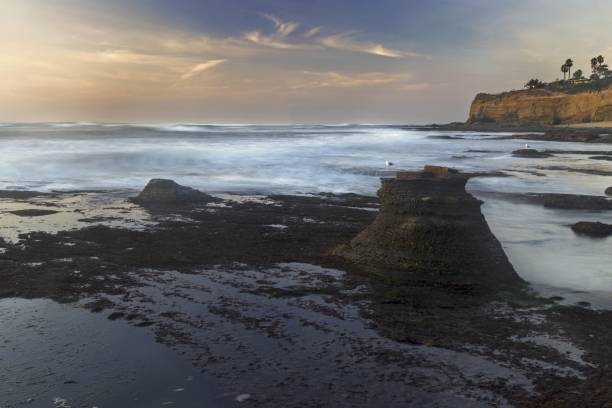 istock Sunset Cliffs Beach Detail on Point Loma San Diego 908157996