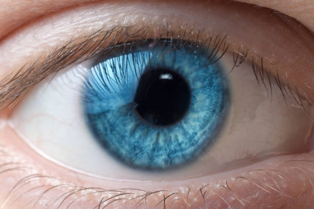 istock Macro image of blue human eye looking directly at the camera 908158292