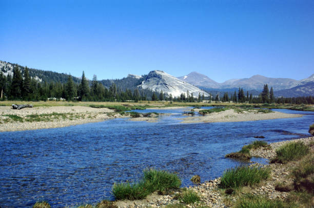 istock Toulomne Meadows, Yosemite National Park 90815843
