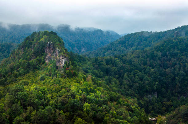 el towers - landscape landscaped tennessee mist fotografías e imágenes de stock