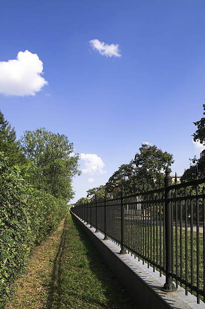 istock Iron Fence in Summer Park 90816737