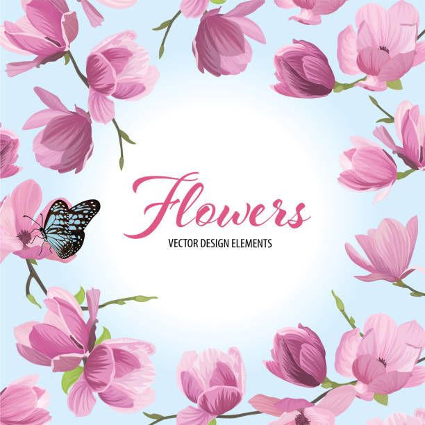 ilustrações, clipart, desenhos animados e ícones de flores de magnólia com uma borboleta sobre fundo azul. - sweet magnolia florida flower magnolia
