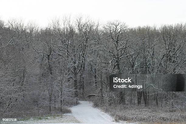 Zima Trail - zdjęcia stockowe i więcej obrazów Chmura - Chmura, Chłodny, Drzewo