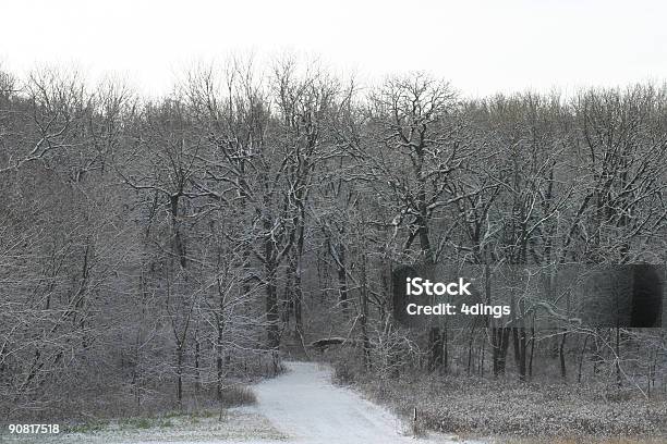 Trilha De Inverno - Fotografias de stock e mais imagens de A nevar - A nevar, Ao Ar Livre, Azul